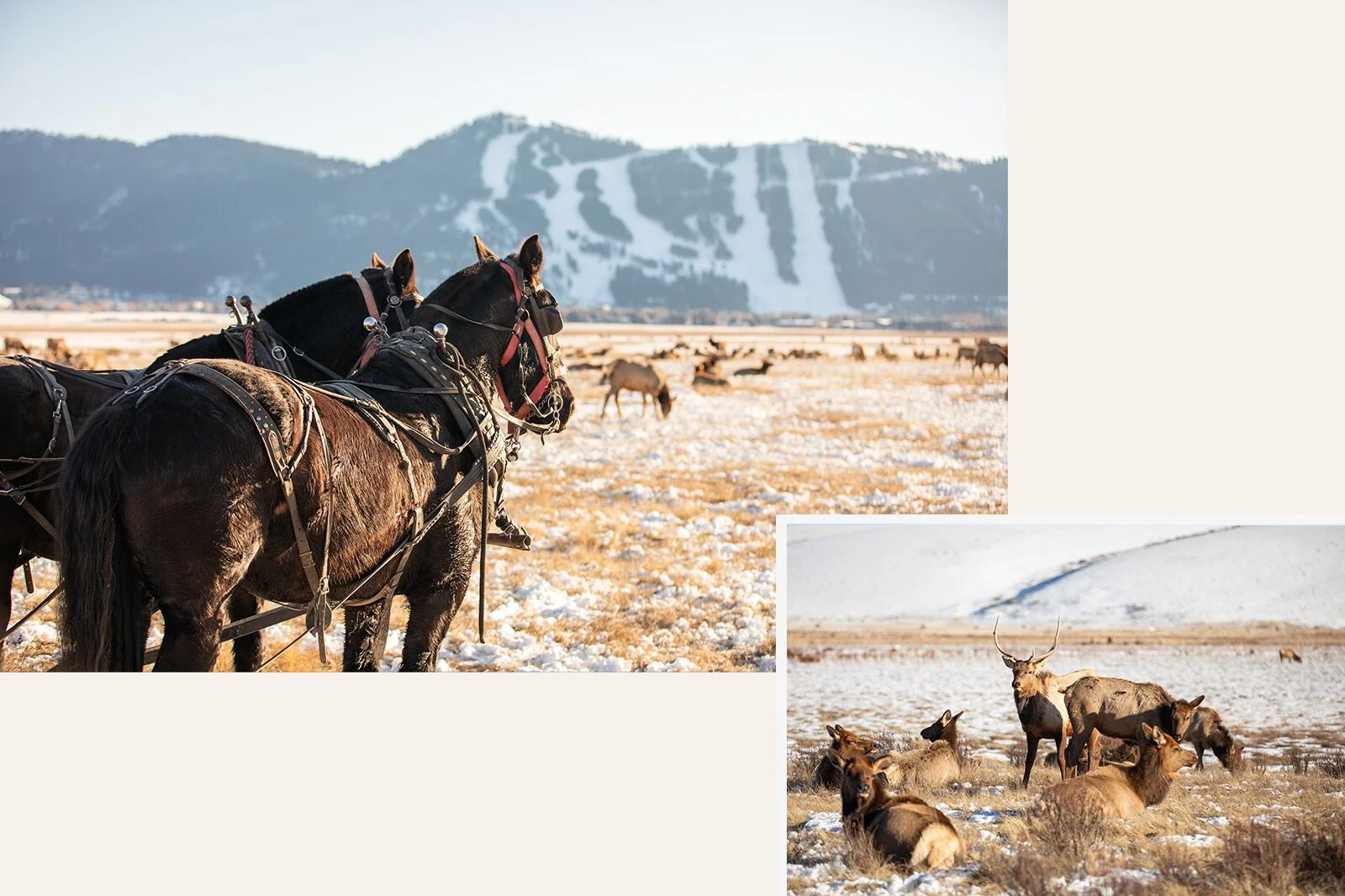grand teton national park in winter